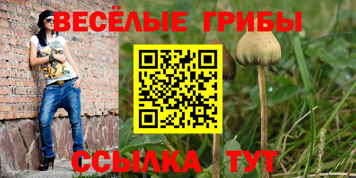 Галлюциногенные грибы Magic Shrooms  Псилоцибиновые грибы мухоморы  Вход с VPN  Богданович 